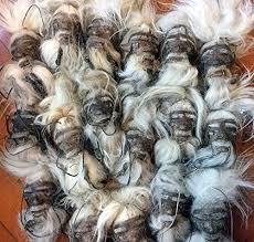 A wide variety of head fresheners options are available to you, such as feature, commercial buyer, and air freshener use. Shrunken Head Replica For Sale Beetlejuice Voodoo Real Goosebumps Include One 1 Head Similar To Photo Buy Online In Belize At Belize Desertcart Com Productid 55680823