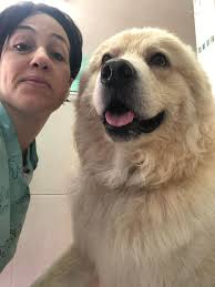 Aristomatte toeletta petshop