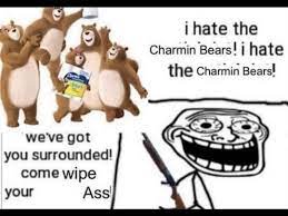 I hate the Charmin Bears! : r/memes