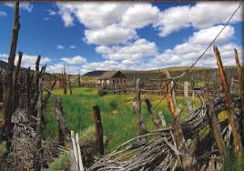 Image result for Little Catnip Spring - Sheldon Refuge Winnemucca NV