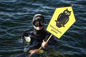 We did not find results for: Nabu Klagt Gegen Nord Stream 2