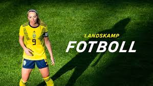 Sverige ska spela åttondelsfinal, men de svenska fansen får inte åka dit. Fotboll Landskamp Fotboll Polen Sverige Svt Play