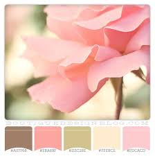 Blue green pink color palette created by badoogers that consists #abc9cd,#658e93,#7abe80,#45954c,#ffbdbd colors. Pin By Charlotte On Design Color Palettes Pink Color Schemes Coral Color Schemes Color Schemes