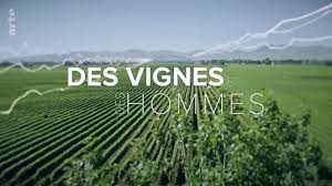 En ce moment, nous possédons 30 émissions dans nos archives, dont la première a été diffusée en novembre 2020. Des Vignes Et Des Hommes 2016 2017