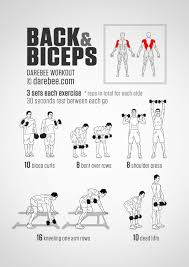 Back And Biceps Workout Biceps Workout Back Biceps Fitness