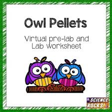 Owl Pellet Dissection Lab Report Owl Pellets Lab Report Owl