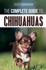 Home of the unique applehead dollface chihuahua. The Complete Guide To Chihuahuas Finding Raising Training Protecting And Loving Your New Chihuahua Puppy Anderson David 9781095544846 Amazon Com Books