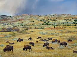 We did not find results for: Measure 3 In North Dakota Would Make Cannabis Legal