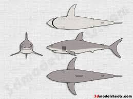 Great White Jpg 1024 768 Great White Shark Drawing Cartoon Character Design Anime Character Design