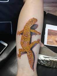We did not find results for: Leopard Gecko Tattoo By Courtney Black Cat Tattoo Collective Glasgow Tattoos