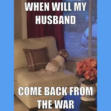 The multiplayer mode was revealed shortly after. Pin By Rob Leiva On Call Of Duty Funny Memes Comebacks Call Of Duty