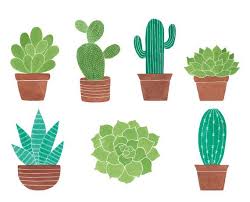 26 watercolor cactus clipart download commercial use digital art. Pin By Karol Rezende On Para Criancas Watercolor Cactus Cactus Clipart Cactus