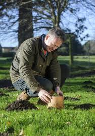 We did not find results for: Get Rid Of Moles Not So Fast The English Garden