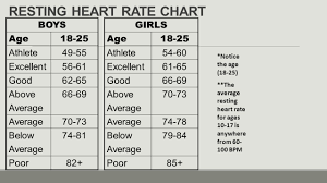 23 Curious Average Heart Beat Per Minute Chart