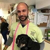 Call to schedule your pet's dental & take advantage of special offers. Island Hammock Pet Hospital Jobs In Key Largo Fl Glassdoor