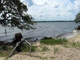 Houses, villas, apartments, cottages, lodges, cabins, farmhouse Goose Creek State Park Washington N C Carolina Outdoors Guide