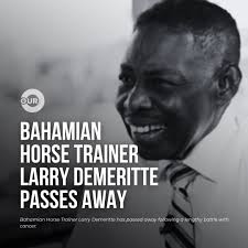 Sean Trott has reflected