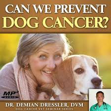 There is scientific evidence about the risks and benefits of these procedures for both cats and dogs. Checking Your Dog For Testicular Cancer