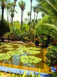 Le jardin majorelle est l´un des plus beaux jardins de marrakech, il se trouve en dehors de la le jardin était une œuvre du peintre français jacques majorelle, qui l´a acquis dans les années 30. Inspired By Ysl And Le Jardin Majorelle Charms Of A Dandizette
