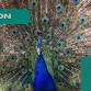 Zoo Typhoon Summer Camp (Ages 8-9)