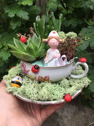 Succulent Teapot Small Doctor Fairy Garden Designs Mini Fairy Garden Miniature Fairy Gardens