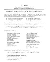 It Project Manager Project Manager Resume Resume Examples Manager Resume