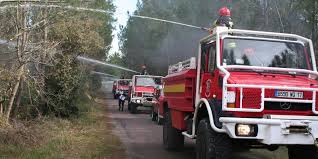 Incendies en Charente-Maritime : Forêt de la Coubre Ravagée