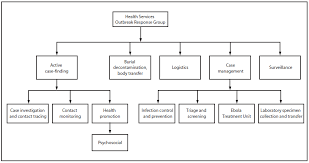 sample organizational chart for child care center