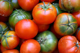 One of the popular husky series developed especially for home gardens, the plant is stout, dark green and really pretty; 10 Tips For Growing Tons Of Tomatoes The Old Farmer S Almanac