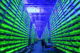 Why is litecoin a good alternative to bitcoin? Green Bitcoin Alternative Chia Is Leading To Hard Disc Shortages New Scientist