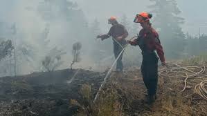 • the bc wildfire service provincial current year fires map. B C Fire Crews Grateful For Military S Help