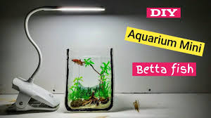 Padahal, ada lo beberapa barang yang bisa disulap jadi akuarium mini. Aquariums Diy Aquarium Mini Ikan Cupang Betta Dari Barang Bekas Membuataquariumdaribarangbekas Akuariumikancupang Akuariu In 2021 Betta Diy Aquarium Betta Fish