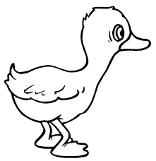 Ordek Boyama Sayfasi