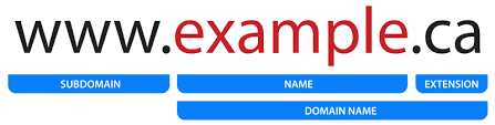 The Canadian Guide To Finding Your Perfect Domain Name Web Hosting Canada
