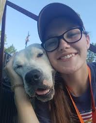 Identifying a lost dog in Cuyahoga County