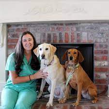 Pet care center 2212 david dr metairie la 70003. Pet Care Center Chalmette 28 Photos Veterinarians 1210 E Judge Perez Dr Chalmette La Phone Number