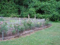 Only a handful of garden fence ideas include horizontal designs, which are common on long, rustic fences in rural areas. 40 Vegetable Garden Fence Ideas Garden Fence Vegetable Garden Garden