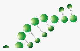 Includes architecture and graphic design. Computational Genomics Summer Institute Graphic Design Hd Png Download Kindpng