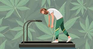 If you're a tall male (above 6'2) with a moderate smoking habit (3 joints a week) and weigh 198 pounds, the best estimate of how many days does weed stay in your system is 12.3 days. Can You Sweat Out Thc The Science Behind Exercise And Weed