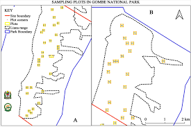 Image result for Monanthotaxis poggei