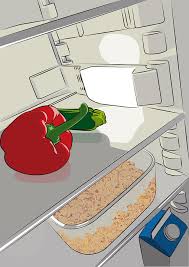 How long is zucchini good for with this storage technique? Fridge Pepper Zucchini Free Vector Graphic On Pixabay