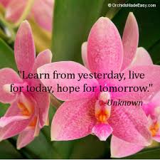 Orchid Quote Hope For Tomorrow Orchidsmadeeasy Com Flower Quotes Tomorrow Quotes Inspirational Quotes Motivation