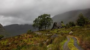 Image result for cool nature gifs