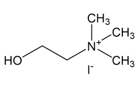 Image result for Succinylcholine