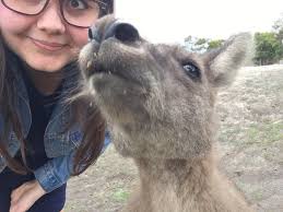 Veganism is great. I'm happy that there are people who are vegan. They  probably make the world a better place. In THEORY, we should probably all  be vegan. In a perfect world,