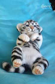 Because this is not an individual subspecies of tiger, biologists and scientists will. 313 Golden Tigers On Tedsby Page 8