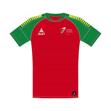 O handebol (ou andebol) é um esporte coletivo que envolve passes de bola com as mãos. Camisola Oficial Federacao Portuguesa Andebol Desporto Dott Pt