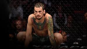 How can we find the bug ourselves? The Methodical Nature Of Sean O Malley Ufc