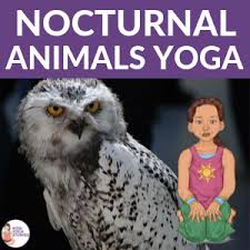 These owls like to reside in holes dug up by other animals such as prairie dogs or skunks. Nocturnal Animals Yoga Printable Poster Kids Yoga Stories