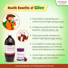 Pin On Health Benefits